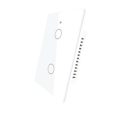 Interruptor Inteligente Haiz Touch Screen 2 Botões Compatível com Alexa e Google Home Resistente à Á