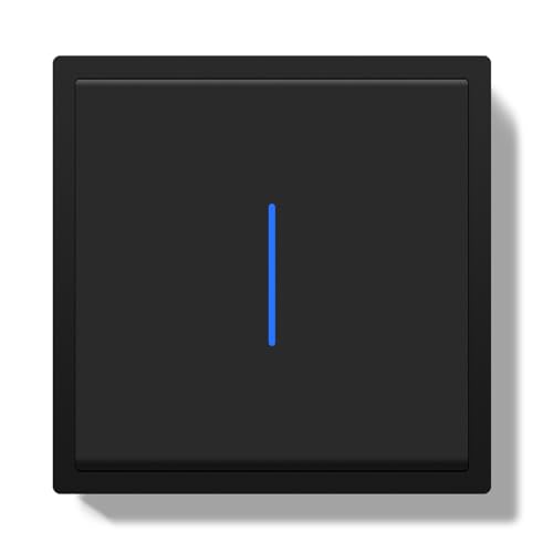 BSEED Interruptor Empotrado, Interruptor Pulsador con Terminal Enchufable, 1 Gang 1 Vía Light Switch con Indicador Luminoso LED y Marco de PC, Negro, 80X80mm