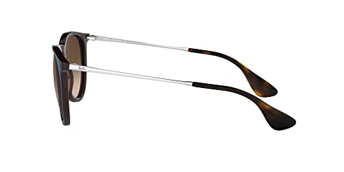 Image of Ray-Ban RB4171 Erika Round Sunglasses