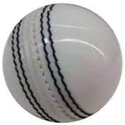 T20 matches Leather Cricket Ball (White) Standard Size