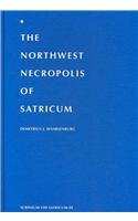 Northwest Necropolis of Satricum: An Iron Age Cemetery in Latium Vetus 9051702949 Book Cover