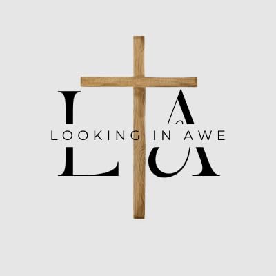 Page de couverture de Looking in Awe