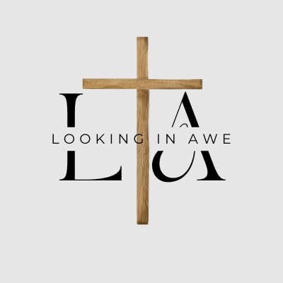 Couverture de Looking in Awe