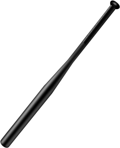 sports best cheap baseball bat