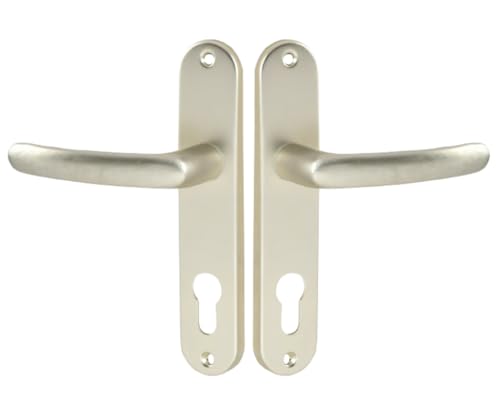 Vachette Set de Poignée de Porte sur Petite Plaque - Version Clé I, Porte d'Entrée, Bureau, Garage - Entraxe 165 mm - Système de Pose Facile - Aluminium Résistant - Finition Champagne - Garantie 2 Ans