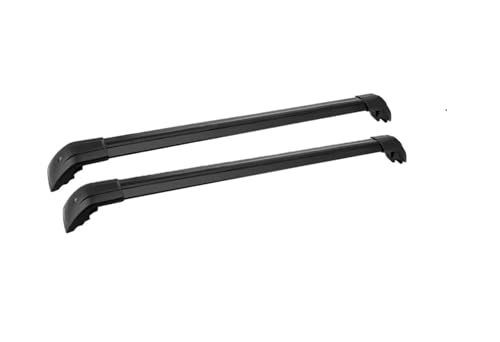 Barres de toit pour EXEED RX 2023 rails longitudinaux galerie auto