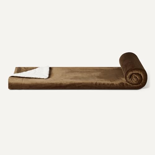 Amazon Basics Mikrofaser Wendedecke Kuscheldecke aus Sherpa, 127 x 152 cm, Braun