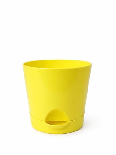 Image of Maxx Plast 5 Inch Self Watering Pots | Set of 5 Decorative Plastic Planters for Indoor & Outdoor Plants | Durable, Lightweight & Colorful Flower Pots - Just ₹299 (Lemon Yellow)