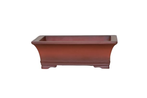 Maceta Clásica Rectangular para Bonsáis - Tamaño 15 x 10 x 5cm