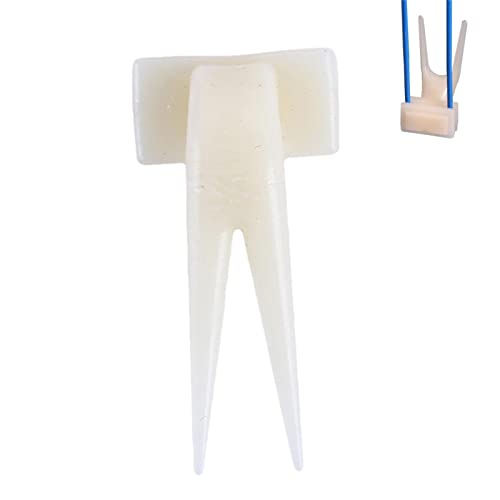 osmanthus Titular de Comida para pájaros - Pinza Duradera para Dispositivo alimentador de Alimentos para pájaros - Tenedor para Aperitivos de Frutas para Loros, Suministros para Mascotas y pájaros