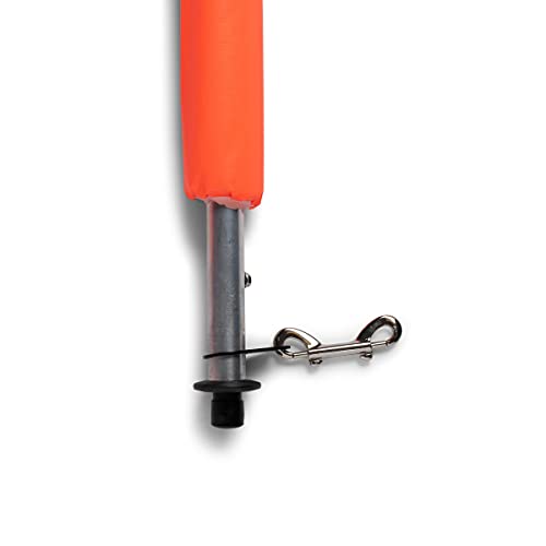 CHAMPRODeluxe Down Box