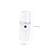 FRCOLOR Handheld Face Sprayer Facial Mist USB Rechargeable Nanometer Spray for Women Face Steamer Humidifier