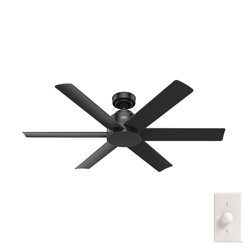 Hunter 52 inch Outdoor or Indoor Ceiling Fan No Light