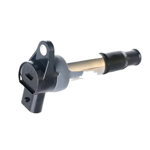 Bobine d'allumage 28116066 pour stopper les ratés moteur et pertes de puissance 1.5T