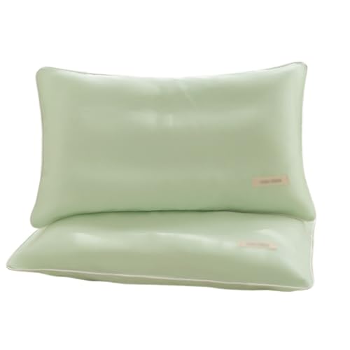 XANAYXWJ Y Almohada de Recipiente de Almohada de látex de Seda de Hielo Fresca