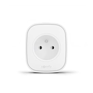 Somfy 1871215 - Prise Connectée Zigbee | Capteur de consommation électrique | Améliore la portée radio | Routeur pour appareils Zigbee | Compatible TaHoma switch | Utilisation en intérieur