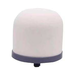 JIEBWCHA Wasserfilter Ersatz Keramikdomfilter