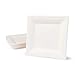 BIOZOYG Set da Tavola ecologiche bagassa USA e Getta | 50 Pezzi Piatto di Canna da Zucchero Bianco Sbiancato angolare 26x26 cm | Set da Tavola monouso