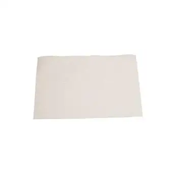 Dean 803-0285 Deep Fryer Filter Paper 100-16 3/8