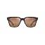 Shiny Brown/Hcl Bronze Polarized