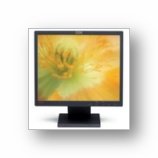 Lenovo L171 LCD Monitor Viewable Image Size 17 0 in 432 Mm Native Resolution of 1