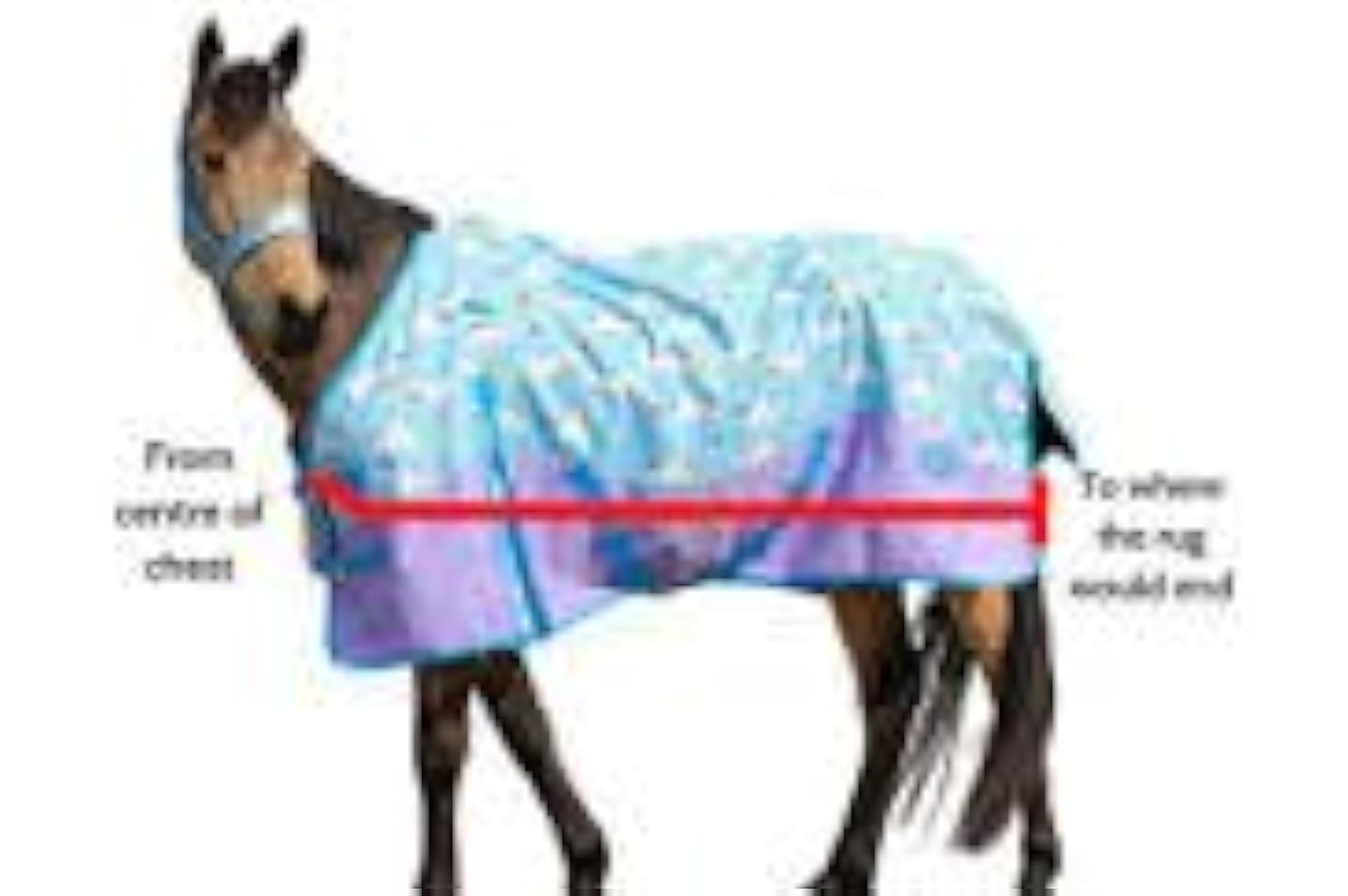 Winter Blanket with Canvas and Polar Fleece Lining