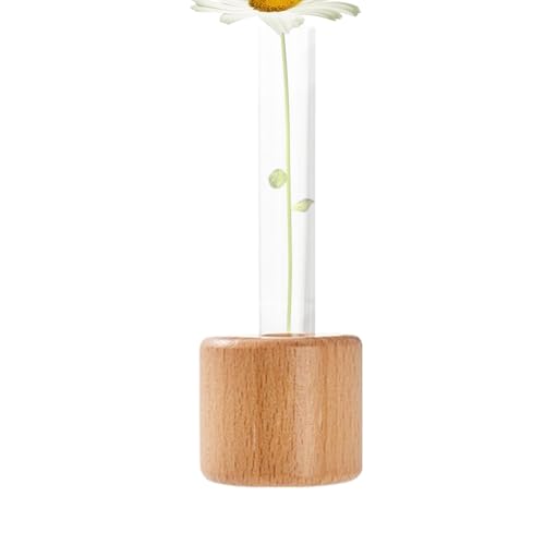 Maceta magnética para , maceta de plantas hidropónicas magnética | Plantador de plantas hidropónicas | Jarrón hidropónico, Florero decorativo magnético para refrigerador para