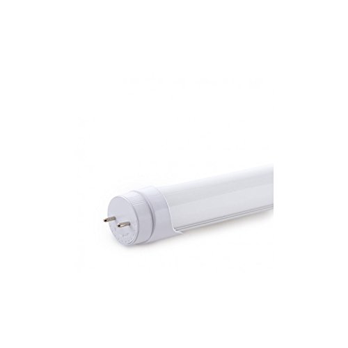 Greenice | Tubo LED 60Cm T8 Cabeza Rotatoria 10W 1000Lm 30.000H | Difusor Opal | Lámpara LED | Fluorescente LED | Luminaria LED | Blanco Frío Cover