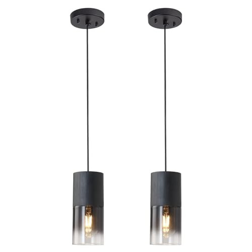 jengush Modern Style Battery Operated Pendant Light Set of 2 Black Battery Ceiling Light fixtures with Rechargeable 8000mAh Bulbs 10 Colors Modes Remote Dimmable for Bedroom Living Room Hallway