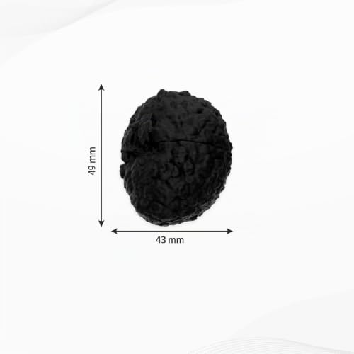 Generico Lot de 5 faux truffes pour dressage pour chiens – Fermeture à baïonnette, récipient pour huile de truffe, lavable et réutilisable, noir – vue 4