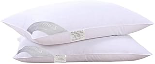 HOMEFOUCS Pair Goose Feather and Down Pillows, 100% Cotton Shell, Non-allergenic & Anti dust mite, Soft Hotel Quality Pillows (15% Down)