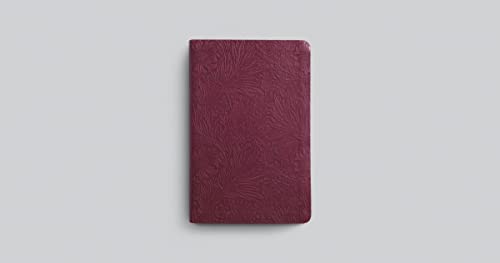ESV Large Print Value Thinline Bible