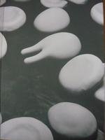 The Body 0941548236 Book Cover