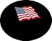 Dish Cover for Round or Elliptical Dish - USA Flag on Black - The Dish Hoodie