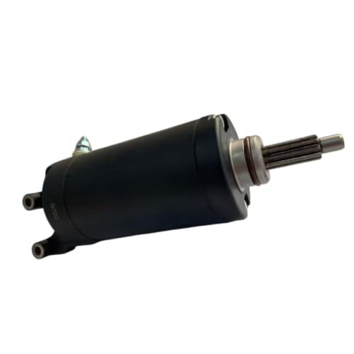 Starter Motor Assembly F02J10000001 para Segway Fugleman miniatura 7