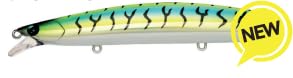 Pêcher le barracuda au spinning avec le leurre de mer IMA Hound 125f Glide 20g
