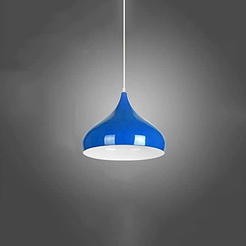 Luces de granero accesorio de altura ajustable y lámpara de techo industrial para cocina