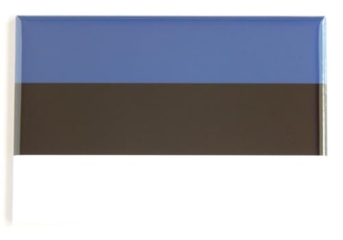 Imán de nevera Bandera de Estonia 2 x 3 pulgadas miniatura 1