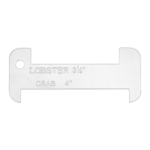 ANV[t[hTCU[葕uuX^[JjTCWOƒނLb`ANZT[V[t[hppIȃANK