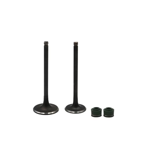 Kit de tige de soupape et joint d'huile de haute précision pour moto DF200