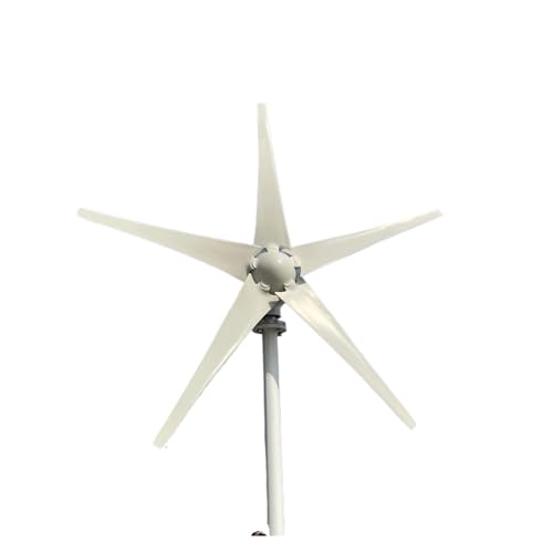 Éolienne 3000W 12V pour maison avec 5 pales aérodynamiques