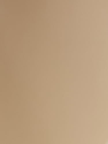 Image of Being Human Beige Slim Fit Regular Collar Men's Shirt Clothing