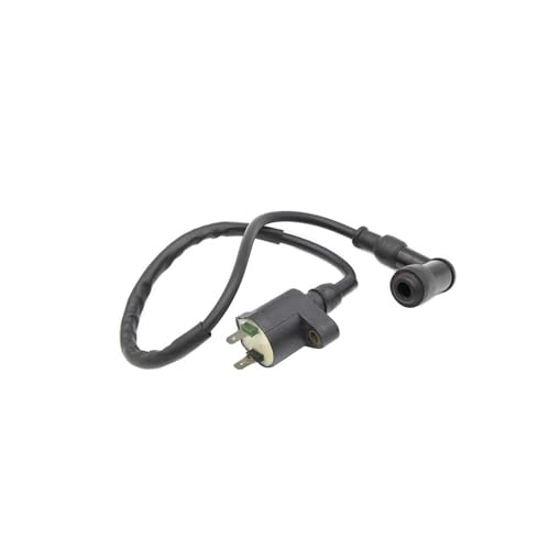 Bobina de encendido para moto DJ125: arranque suave y estable 5