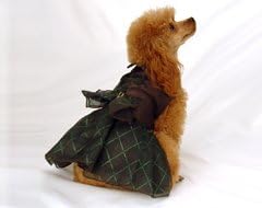 Emma Rose Sparkly Emerald Nights Classy Designer Dog Dress (Small)