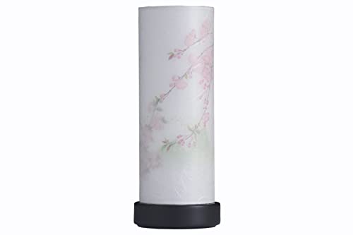 ܂ ~ ~ V~ _  Pi Eڂ낢̉ V[Y ڂ ~j dr R[hX LED [\N a s  d  蕨