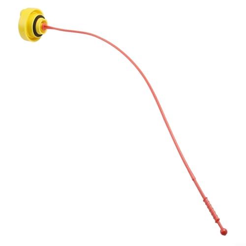 Jauge d'huile moteur avec bouchon pour moteurs Renault 2004 2016, compatibilité pour Clio MK3 et modèles Grandtour sauf Royaume-Uni