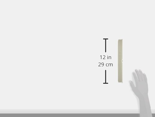 Amazon.com: LG OEM Original Part: MCK66787901 Dryer Filter Cover  