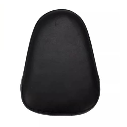 Coussin de passager et dossier moto pour partager la route en Harley 883