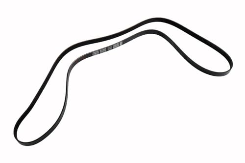 Courroie serpentine ACDelco GM Original Equipment 12638664 nervurée automobile