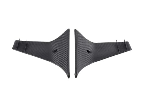 Kit D'ailes De Carénage Avant Moto 250SR 300SR Accessoire Protection Abs